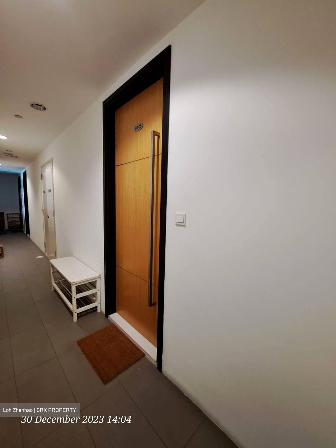 Loft @ Stevens (D10), Apartment #524041271